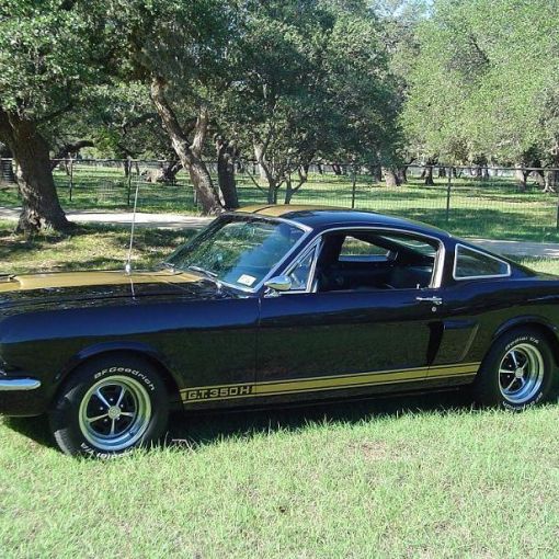 new 66 shelby 088